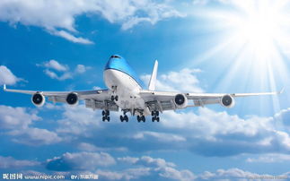 深圳托运冻肉到长春哪家航空货运公司好