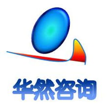 企业调查报告 华然咨询